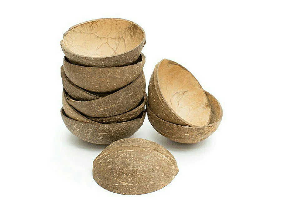 Coconut Shell Bowl - Eco-friendly