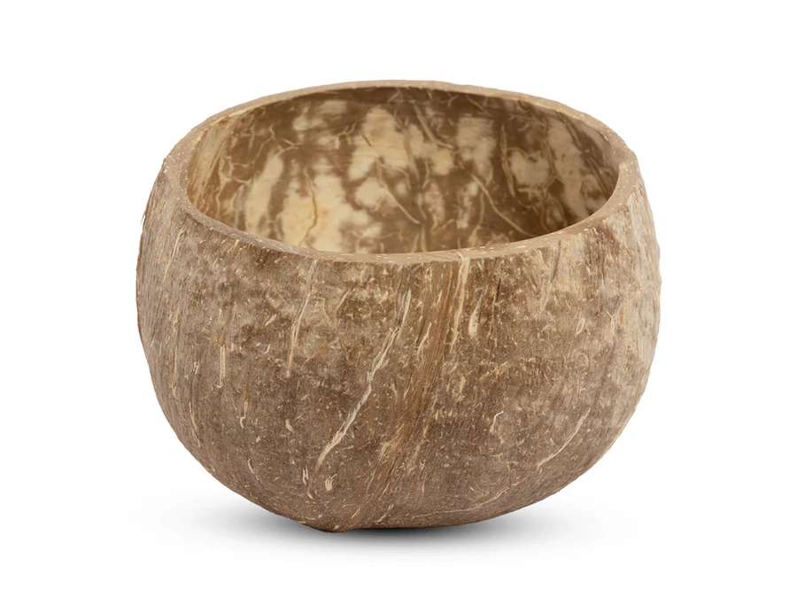 Coconut Shell Bowl